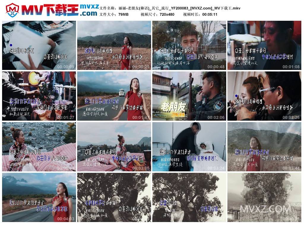丽丽-老朋友(彝语)_其它_流行_YF200083